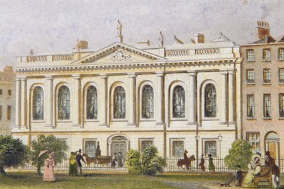 The College of Surgeons, Dublin by Irish School